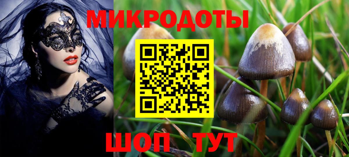 Псилоцибиновые грибы Cubensis Миллерово